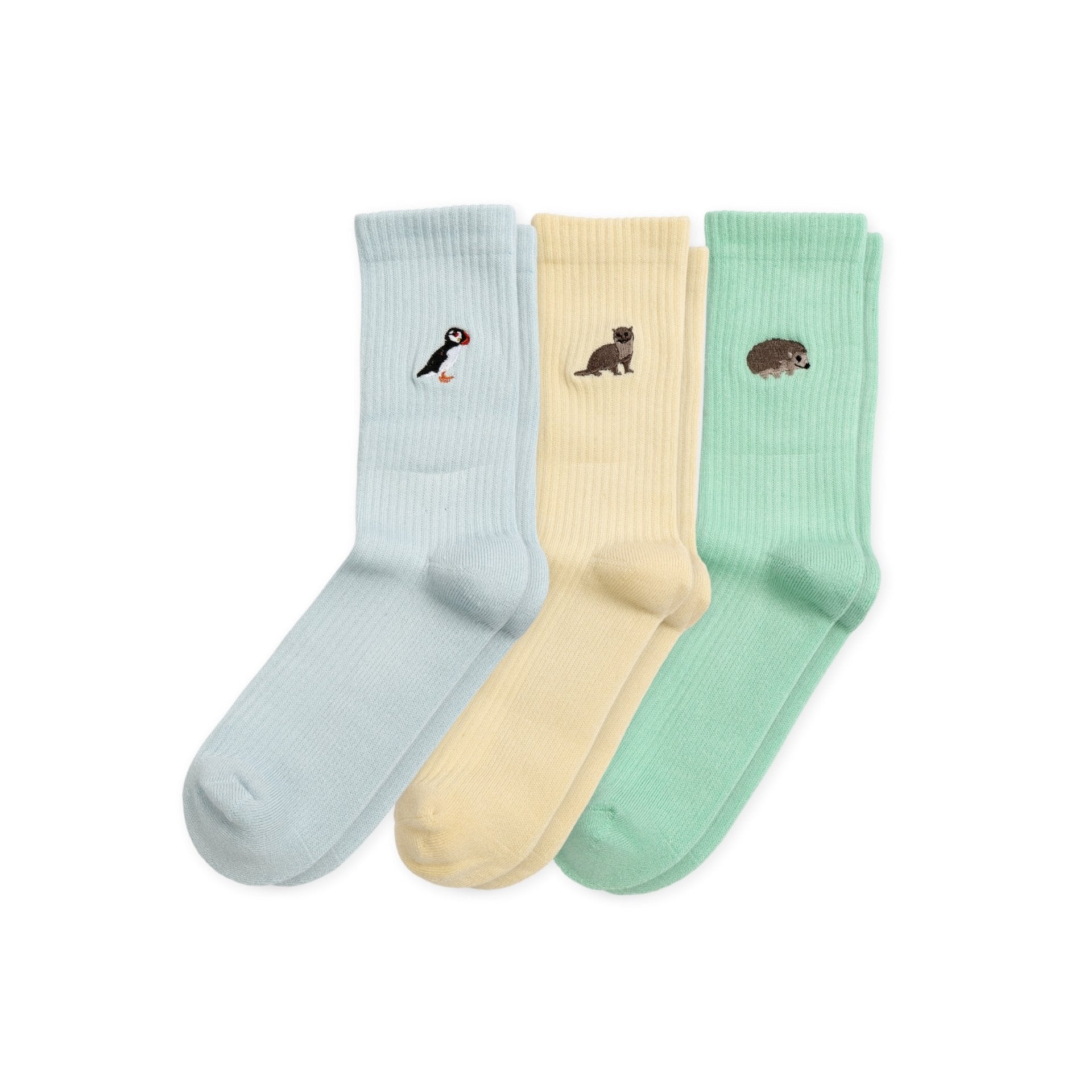 Funny Chicken Leg Socks - Ribbed Summer Sorbet Collection 3 Pack