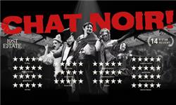 Costumes - CHAT NOIR
