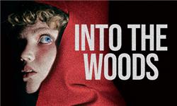 Costumes - Into The Woods