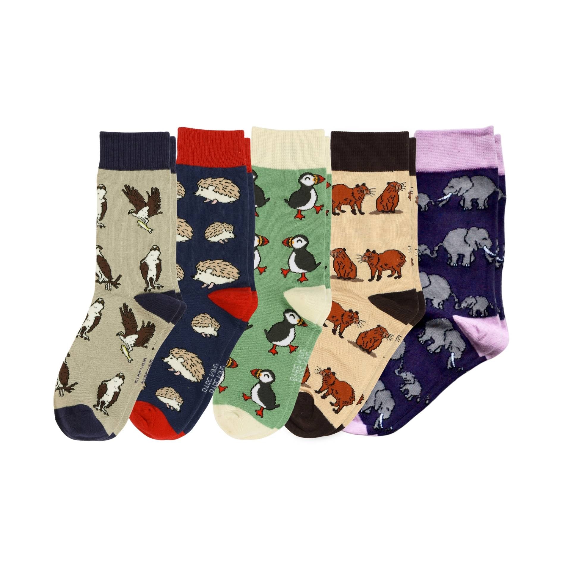 Funny Chicken Leg Socks - Bestsellers 5 Pack Bamboo Sock Set