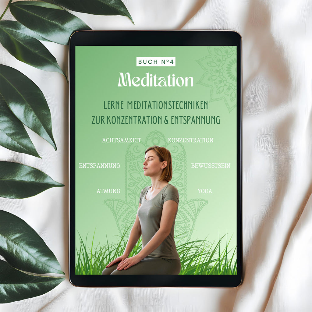E-Book N°4 Meditationstechnike - Glow In The Dark Party Glasses review and price