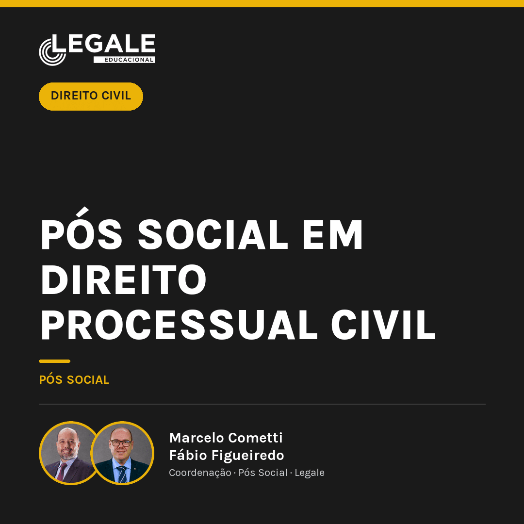 Funny Chicken Leg Socks - Pós Social em Direito Processual Civil