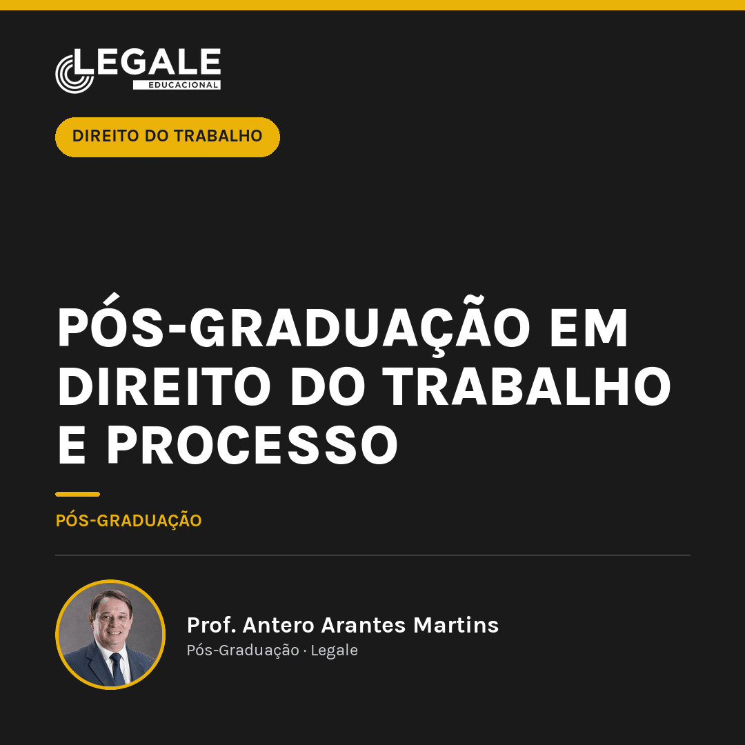 Funny Chicken Leg Socks - Pós-graduação em Direito do Trabalho e