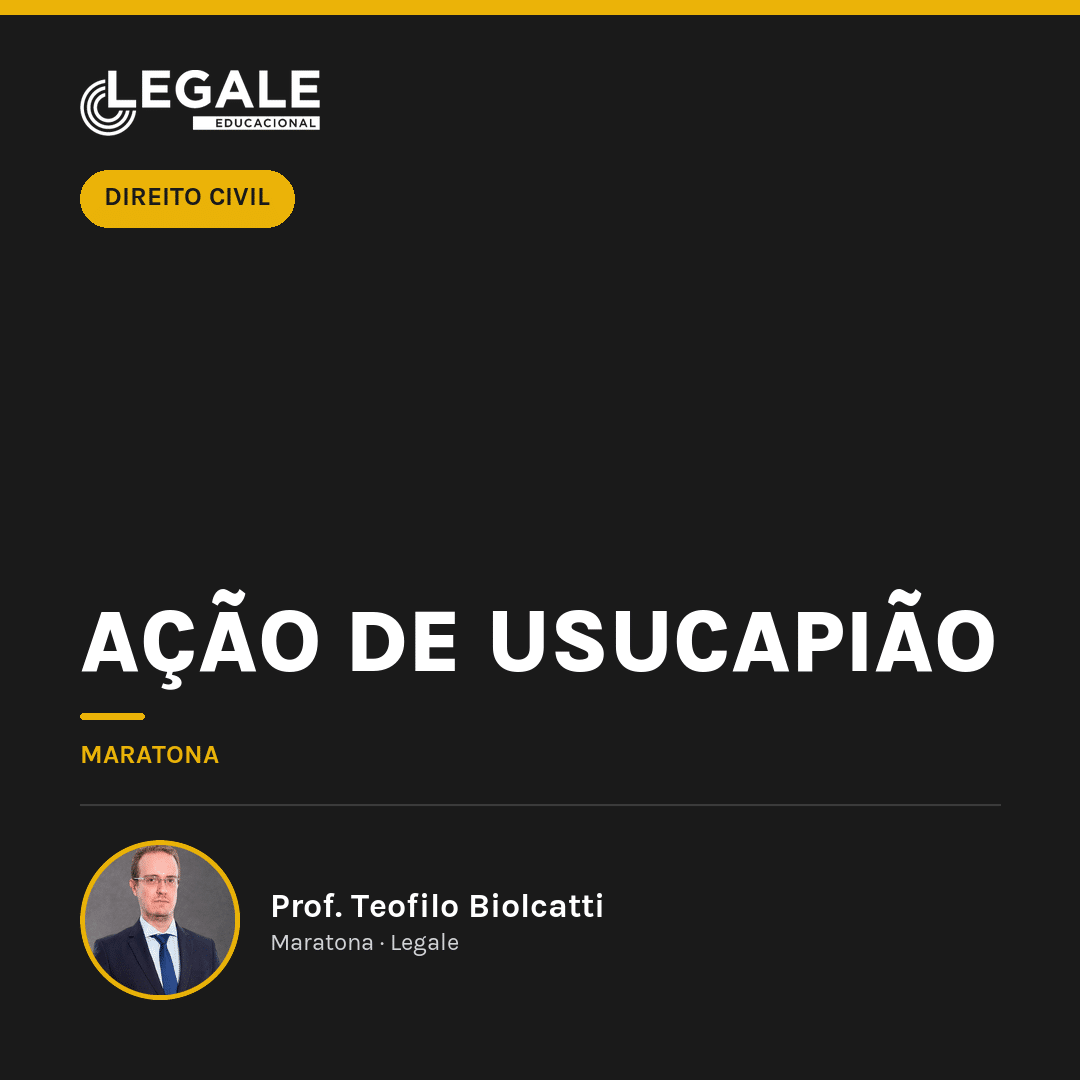 Funny Chicken Leg Socks - Ação de Usucapião