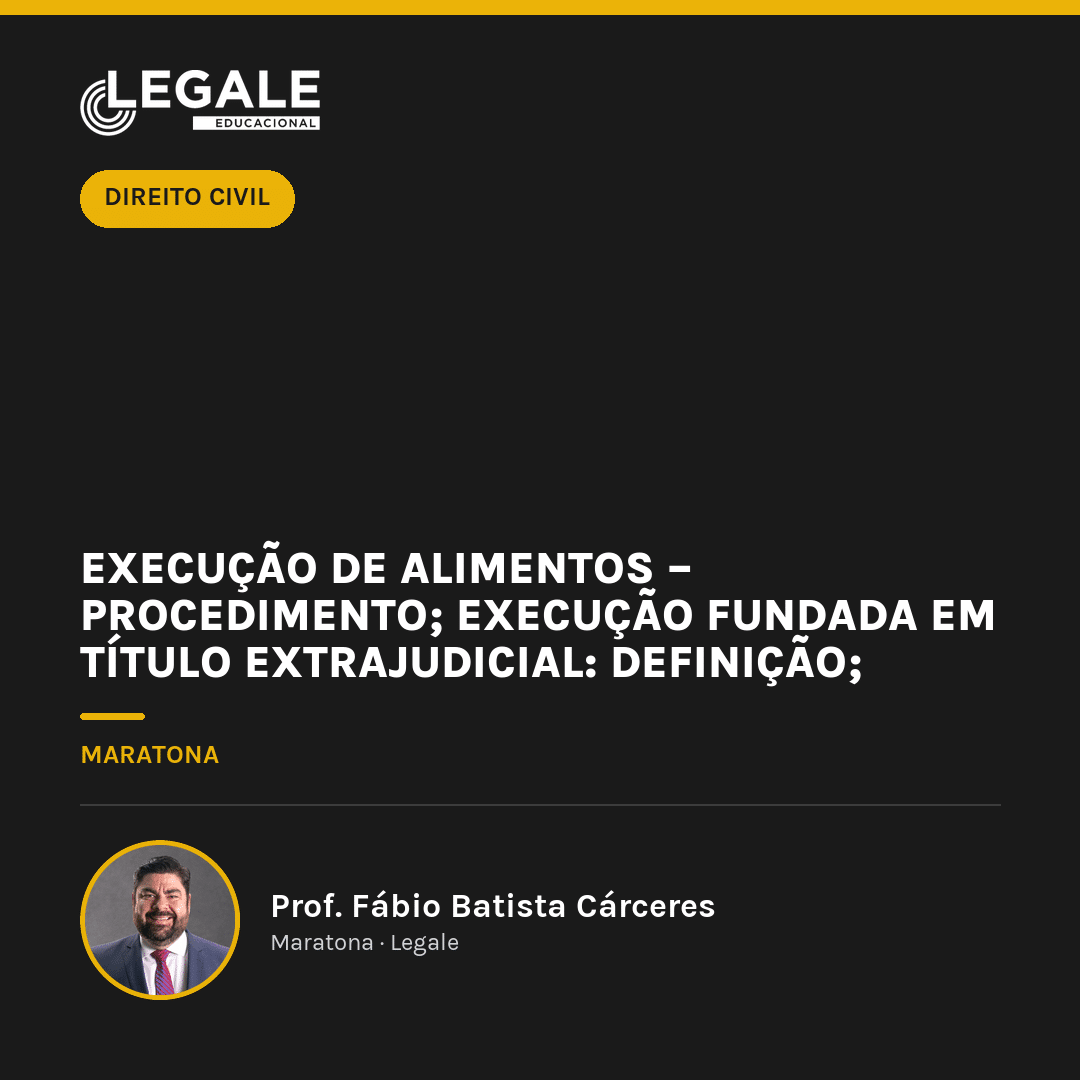 Funny Chicken Leg Socks - Execução de alimentos – procedimento; Execução