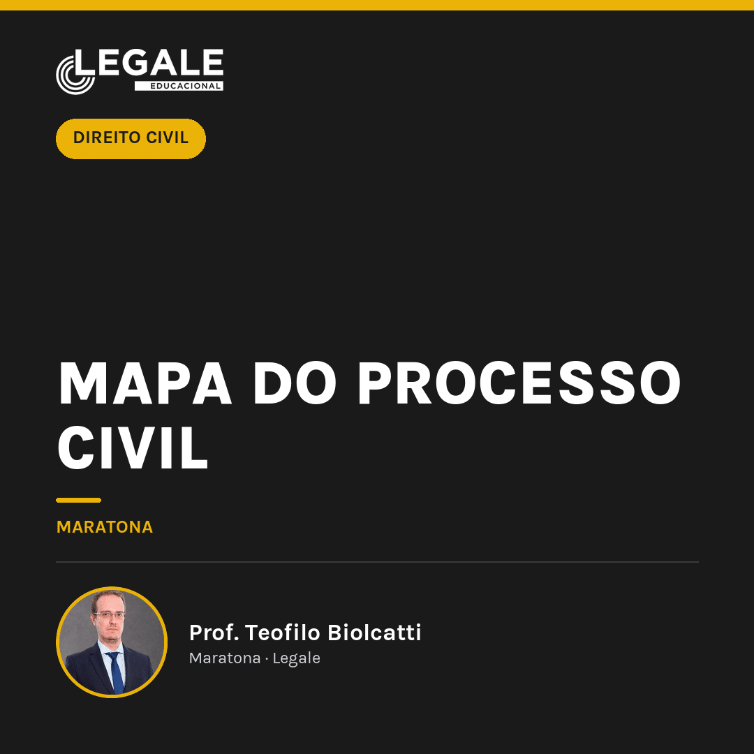 Funny Chicken Leg Socks - Mapa do Processo Civil