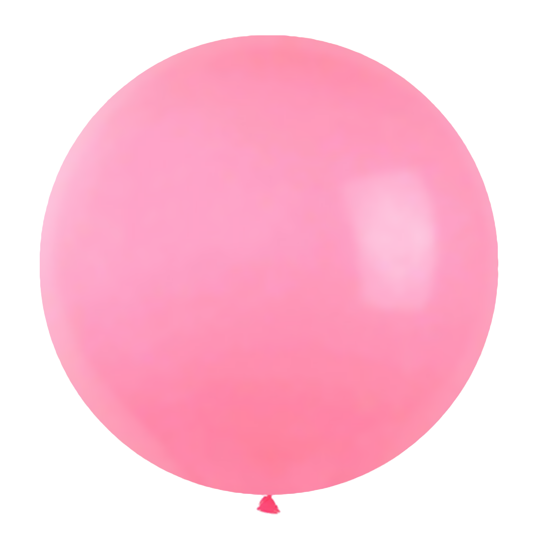 Party Supplies - Roze XXL Ballonnen (10 stuks /