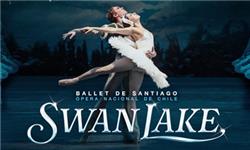 Costumes - Ballet de Santiago Swan Lake