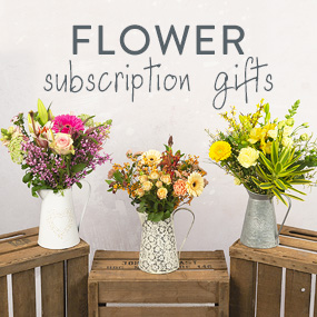 Costumes - Hand Tied 6 Month Flower Gift