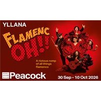 Flamenc Oh!! - Costumes review and price