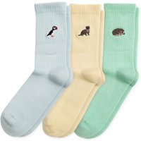 Ribbed Summer Sorbet Collectio - Funny Chicken Leg Socks review and price