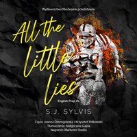 All The Little Lies - Funny Chicken Leg Socks review and price