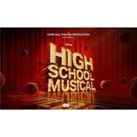 High School Musical - Costumes review and price