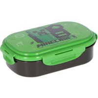 Minecraft lunchbox met bestek - Spiderman Jumpsuit Kids review and price