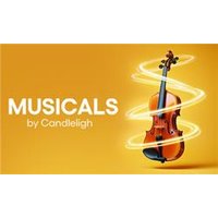 Musicals By Candlelight - Costumes review and price