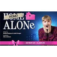 A Homo Alone 2: Yikes We Did I - Costumes review and price