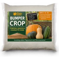 Bumper Crop Pumpkin, Squash &a - Party Supplies review and price