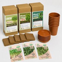 All Year Round Salad Leaves Gr - Party Supplies review and price