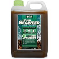 Cold-Pressed Organic Liquid Se - Party Supplies review and price