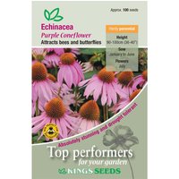 Echinacea Purple Coneflower - Party Supplies review and price