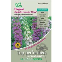 Foxglove Excelsior Mixed - Party Supplies review and price