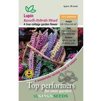 Lupins Russell Hybrids Mix - Party Supplies review and price