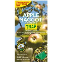 Apple Maggot Traps - Party Supplies review and price