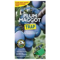 Plum Maggot Traps - Party Supplies review and price