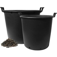 Fruit & Vegetable Growing  - Party Supplies review and price