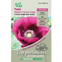 Poppy Laurens Grape - Party Supplies review and price