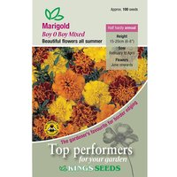 Marigold French Boy O Boy - Party Supplies review and price