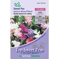 Sweet Pea Spencer Waved Mix - Party Supplies review and price