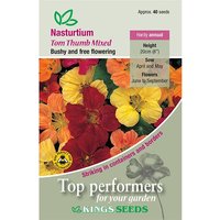 Nasturtium Tom Thumb Mixed - Party Supplies review and price