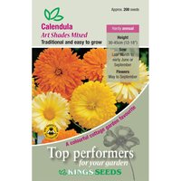 Calendula Art Shades Mixed - Party Supplies review and price