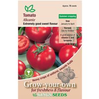 Tomato Alicante - Party Supplies review and price