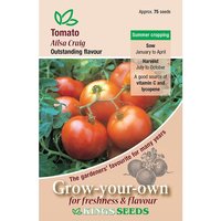 Tomato Ailsa Craig - Party Supplies review and price