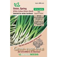 Spring Onion Winter Hardy - Party Supplies review and price