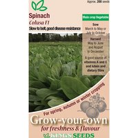 Spinach Colusa F1 - Party Supplies review and price