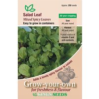 Salad Leaf Mixed Spicy Leaves - Party Supplies review and price