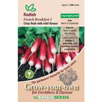 Radish French Breakfast - Party Supplies review and price