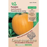 Pumpkin Jack O'Lantern - Party Supplies review and price