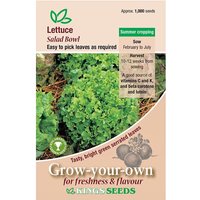 Lettuce Salad Bowl - Party Supplies review and price