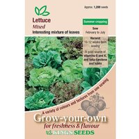 Lettuce Mixed - Party Supplies review and price