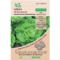 Lettuce All Year Round - Party Supplies review and price