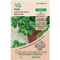 Cress American - Party Supplies review and price