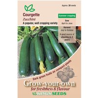 Courgette Zucchini - Party Supplies review and price