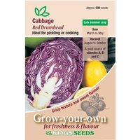 Cabbage Red Drumhead - Party Supplies review and price