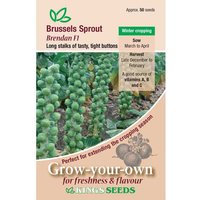 Brussels Sprout Brendan F1 - Party Supplies review and price