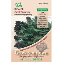 Broccoli Purple Sprouting - Party Supplies review and price