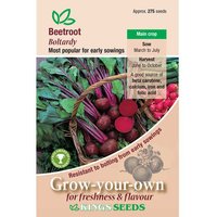 Beetroot Boltardy - Party Supplies review and price